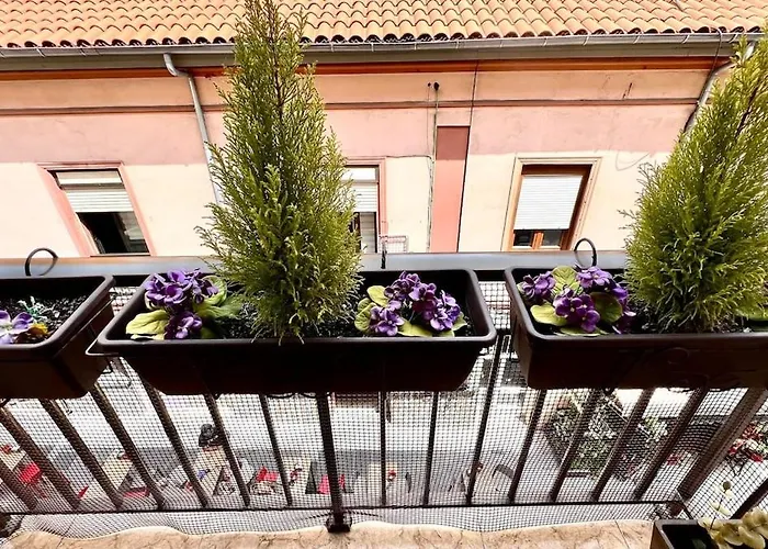 Centro Y Confort By Wehomes